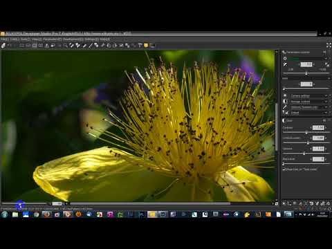 Adjusting Highlights and Shadows in Silkypix