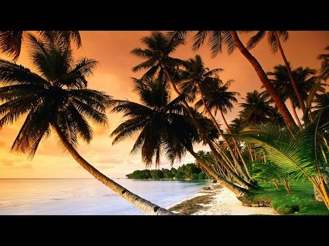 1 Hour Of Tropical, Caribbean, And Hawaiian Music 1 Hour Of Tropical, Caribbean, And Hawaiian Music