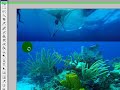 Tutorial Photoshop Fusionar Imagenes