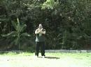 Free Lesson: 13. Cross Hands- Wu Tai Chi