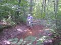 dr350 part 2