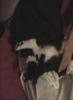 kabocha sleeping
