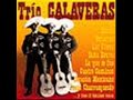 Trío Calaveras - Sonaron cuatro balazos (J. Alfredo Jiménez) Trío Calaveras - Sonaron cuatro balazos (J. Alfredo Jiménez)