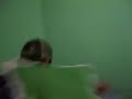 nocaute da almofada xd