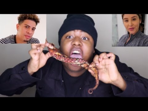 OCTOPUS MUKBANG : The ACE Family ARE
