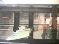 Air Flow Testing Air Flow Testing