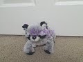 My Retired Webkinz