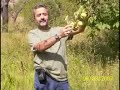 sivas suşehri akıncılar