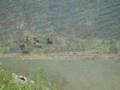 Uzungöl 1