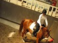 Création hippique by Crapaud Création hippique by Crapaud