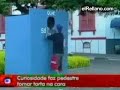 curioso curioso