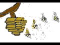 Hey There Little Insect