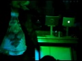 MAFU CREW EN VIVO @ Riocantina