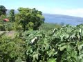 Arenal Volcano Zip Line, Costa Rica - Half MileZip Line