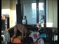 Funny Dog video, The Bad Boxer Funny Dog video, The Bad Boxer