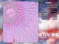東方星蓮船　改造LN