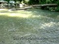 Hueston Woods State Park - The Beach - YouTube