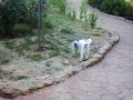 Pe�arroya    A VUELTAS   por el Parque