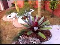 Viva Casa - Portfolio de lagos, cascatas e cachoeiras