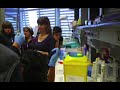 Visita IES Josep Mestres i Busquets