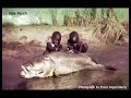 Attack of the Killer Monster Fish!