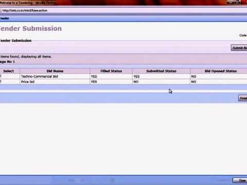 how to fill online tender