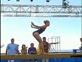 Most backward flips on a beam