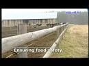 EPP-ED Group presents its Priorities - Part II EPP-ED Group presents its Priorities - Part II