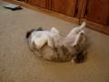 videos de playing_alone.wmv