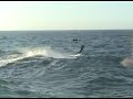 WAVERUNNER 1200 XL - Tipaza 2005