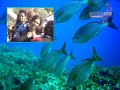 Submarinismo-MATEUA-