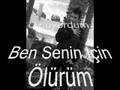 yunus altunsaray