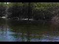 pike fishing ryan sansoucy