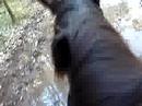 Horse riding