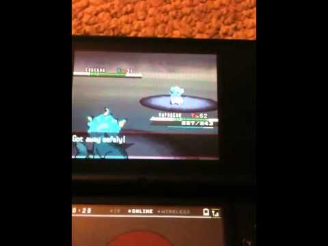 how to obtain eevee in pokemon black
