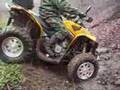 Renegade 800 X