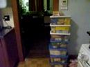Emptying the Pesach Pantry