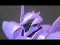 HG Dorado (Part 2: Parts) Gundam Age - Veigan / Unknown Enemy gunpla review