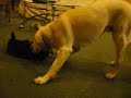 Nero and Katie - Closer Together