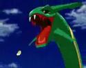 rayquaza