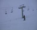 Patas - SNB