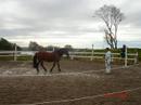 Brino p� horsemanship-kurs