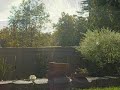 Paintball TL-R Music Video