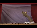 No Country for Old Men Sock Puppet Show No Country for Old Men Sock Puppet Show