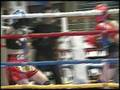 videos de karate CHIEFEC  panamericano kick boxing