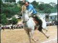 CİRİT ( Ali VAROL )2