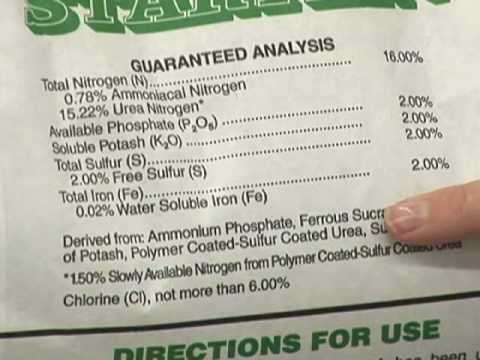 how to fertilize a lawn in fall