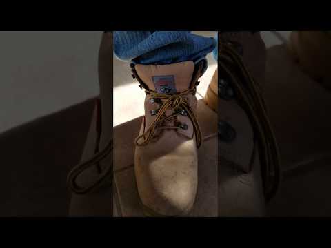Herman Survivors - What did you do to my boots