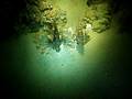 SMSD in the Red Sea (Egypt) Diving Marsa Alam 006