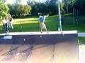 Handrun forsti